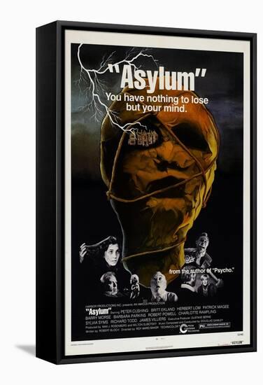 Asylum-null-Framed Stretched Canvas