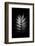 Asymmetric-Philippe Sainte-Laudy-Framed Photographic Print