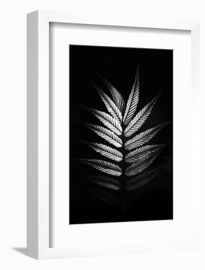 Asymmetric-Philippe Sainte-Laudy-Framed Photographic Print