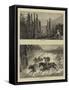 At a Chilian Rodeo, III-William Henry James Boot-Framed Stretched Canvas