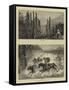 At a Chilian Rodeo, III-William Henry James Boot-Framed Stretched Canvas