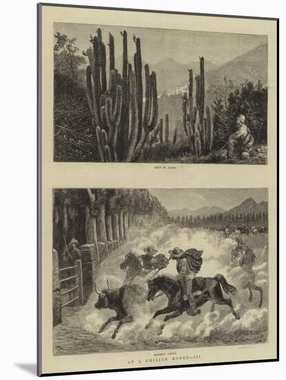 At a Chilian Rodeo, III-William Henry James Boot-Mounted Giclee Print
