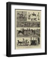 At a Race-Meeting, Feverabad, India-null-Framed Giclee Print