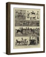 At a Race-Meeting, Feverabad, India-null-Framed Giclee Print