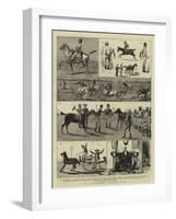 At a Race-Meeting, Feverabad, India-null-Framed Giclee Print