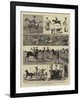 At a Race-Meeting, Feverabad, India-null-Framed Giclee Print