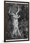 At a Sabbat in the Basque Country Two Witches Enjoy a Lascivious Dance-Martin Van Maele-Framed Photographic Print