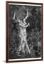 At a Sabbat in the Basque Country Two Witches Enjoy a Lascivious Dance-Martin Van Maele-Framed Photographic Print