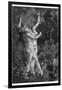 At a Sabbat in the Basque Country Two Witches Enjoy a Lascivious Dance-Martin Van Maele-Framed Photographic Print