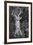 At a Sabbat in the Basque Country Two Witches Enjoy a Lascivious Dance-Martin Van Maele-Framed Photographic Print