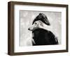 At All Times-Gabriella Roberg-Framed Photographic Print