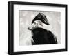 At All Times-Gabriella Roberg-Framed Photographic Print