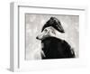 At All Times-Gabriella Roberg-Framed Photographic Print