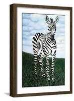 At Attention Zebra-Megan Morris-Framed Art Print