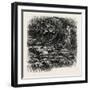 At Bas Breau, Bas-Breau, the Forest of Fontainebleau, France----, 19th Century-null-Framed Giclee Print