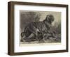 At Bay-George Bouverie Goddard-Framed Giclee Print