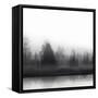 At Dawn BW II-Madeline Clark-Framed Stretched Canvas