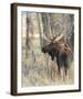 At Dawn-Wink Gaines-Framed Giclee Print