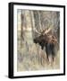 At Dawn-Wink Gaines-Framed Giclee Print