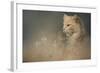 At Dawn-Jai Johnson-Framed Giclee Print