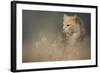 At Dawn-Jai Johnson-Framed Giclee Print