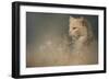 At Dawn-Jai Johnson-Framed Giclee Print