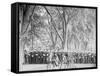 At Ease, Battalion Drill, U.S. Naval Academy-null-Framed Stretched Canvas