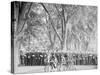 At Ease, Battalion Drill, U.S. Naval Academy-null-Stretched Canvas
