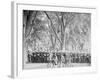 At Ease, Battalion Drill, U.S. Naval Academy-null-Framed Photo