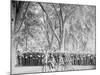 At Ease, Battalion Drill, U.S. Naval Academy-null-Mounted Photo