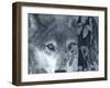 At First Sight-Gordon Semmens-Framed Photographic Print