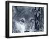 At First Sight-Gordon Semmens-Framed Photographic Print