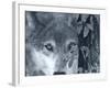 At First Sight-Gordon Semmens-Framed Photographic Print