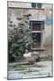 At Issogne Castle (Reading)-Adolfo Dalbesio-Mounted Giclee Print