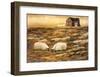 At Lunch Time-Joanne Ouellet-Framed Art Print