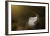 At Maximum Power-Antonio Grambone-Framed Photographic Print