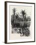 At Monte Carlo, Monaco, the Cornice Road, 19th Century-null-Framed Giclee Print