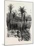 At Monte Carlo, Monaco, the Cornice Road, 19th Century-null-Mounted Giclee Print