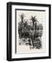 At Monte Carlo, Monaco, the Cornice Road, 19th Century-null-Framed Giclee Print