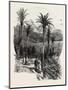 At Monte Carlo, Monaco, the Cornice Road, 19th Century-null-Mounted Giclee Print