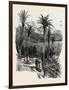 At Monte Carlo, Monaco, the Cornice Road, 19th Century-null-Framed Giclee Print