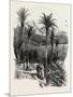 At Monte Carlo, Monaco, the Cornice Road, 19th Century-null-Mounted Giclee Print