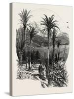 At Monte Carlo, Monaco, the Cornice Road, 19th Century-null-Stretched Canvas