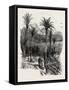 At Monte Carlo, Monaco, the Cornice Road, 19th Century-null-Framed Stretched Canvas