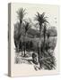 At Monte Carlo, Monaco, the Cornice Road, 19th Century-null-Stretched Canvas