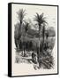 At Monte Carlo, Monaco, the Cornice Road, 19th Century-null-Framed Stretched Canvas