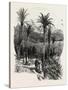 At Monte Carlo, Monaco, the Cornice Road, 19th Century-null-Stretched Canvas