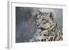 At Peace-Jai Johnson-Framed Giclee Print