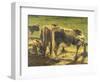 At Pole-Giovanni Segantini-Framed Giclee Print