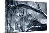 At River's Edge Silvertone-Gordon Semmens-Mounted Photographic Print